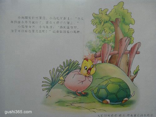 ͼ�Ĺ��£����ŵ��ǵ�С��