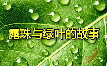 ¶������Ҷ�Ĺ���