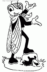 ֪�ˣ�������ʻ�2