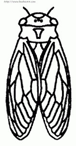 ֪�ˣ�������ʻ�3