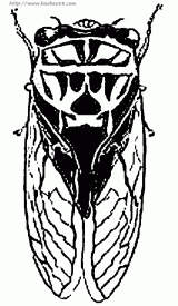 ֪�ˣ�������ʻ�4