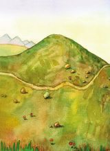 ����Ȼͯ��-������2