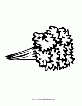 �߲˼�ʻ���ȫ2