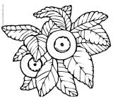 ����-ӣ�Ҽ�ʻ�3