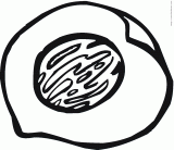 ����-��-���ϼ�ʻ�