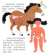 �����Ĺ��¡�Ӥ�����Ķ�����2