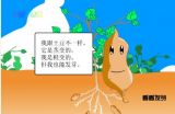 ެǸģ֪ʶ