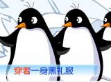 ¶裺С