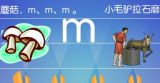 ѧĸm