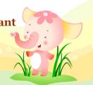What animals is  it   Ӣ