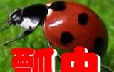 ѧʶ
