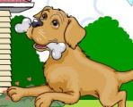 Where is my bone