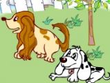 animal counting
