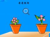 ˫Ҷ뵥ҳ
