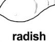 radish ɫ