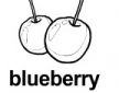 blueberry ɫ