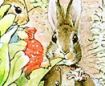 the tale of benjamin bunny