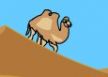 1002 Arabian Nights