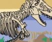 world of fossils