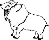 牛的简笔画4