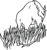 牛的简笔画6