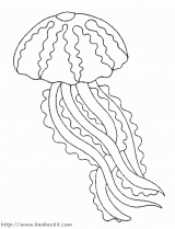 ˮĸʻ5