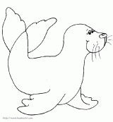 ʻ5
