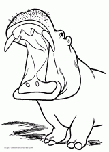 ʻ