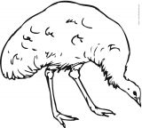 --ʻ